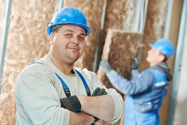 Best Eco-Friendly Insulation in West Sayville, NY